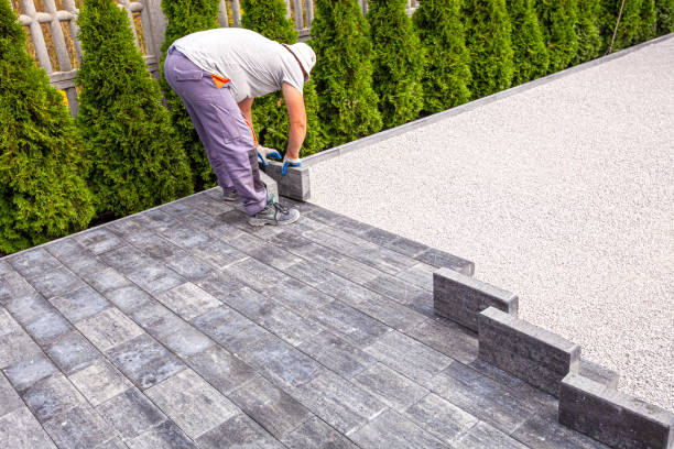 Best Custom Driveway Pavers  in Des Plaines, IL